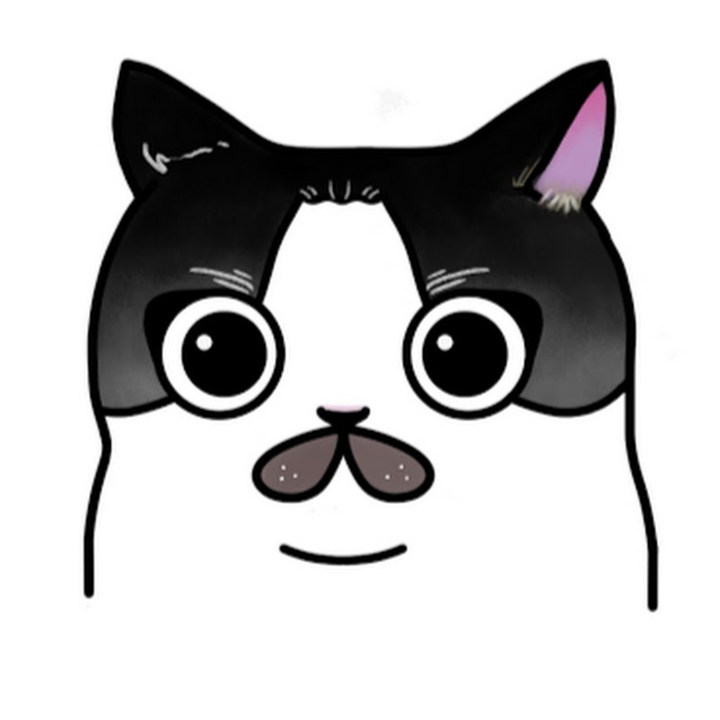 퍄퍄킴 역사